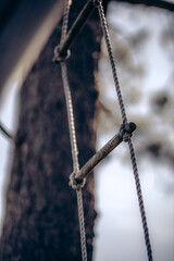 Close-Up of Wooden Rope Ladder Hanging Outdoors Against Tree Trunk and Soft Sky