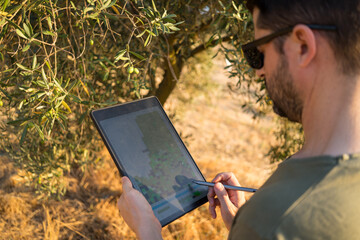 Farmer using technology in an olive grove