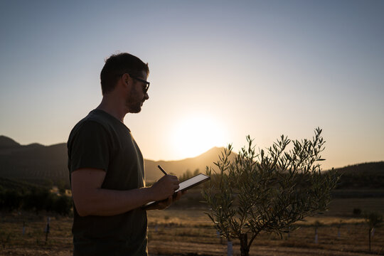 Farmer in olive grove using smart farming technology