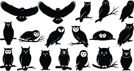 Owl silhouettes, flying owl poses, perched owl designs, nocturnal bird art, wildlife illustration, owl wings spread, black and white bird graphics