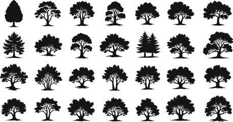 Tree silhouettes, black vector trees, diverse canopy shapes, botanical set, forest illustration, nature clipart, coniferous and deciduous, landscape design elements