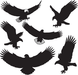 Soaring eagles in flight silhouettes bird wings