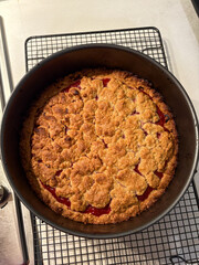 Freshly baked rhubarb crumble cake.