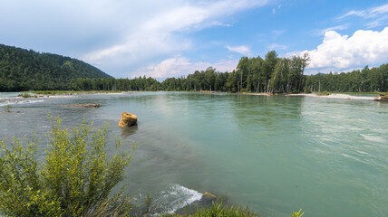 A serene landscape in Xinjiang, China with Kanas River, lush greenery, and a goose flying under a...
