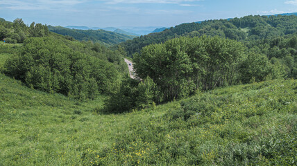 A scenic hillside with lush greenery, tall trees, and a winding pathway. Mountain ranges in the...