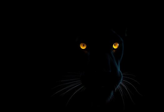 Silhouetted black panther, luminous yellow eyes gleam in darkness,  predator,  light