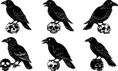 Six Black Ravens Perched on Skulls in a Graphic Illustration