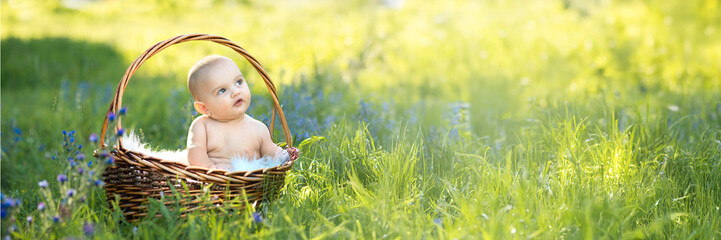 Cute Baby in Basket on Grass Wide Banner