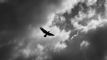 Raven silhouette against stormy sky
