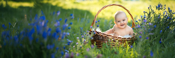 Happy Baby in Basket Wide Banner with Copy Space
