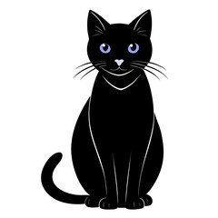 Obraz premium black cat on white background