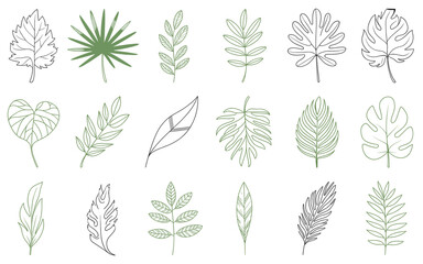 Botanical Line Art: A Collection of Minimalist Green and Black Leaves on White Background for Artistic, Creative Projects and Design Elements