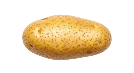 Isolated Potato