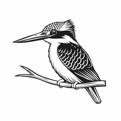 Fototapeta premium Belted Kingfisher Bird Sitting On Tree Branch image vector isolated on white background.