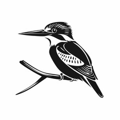 Fototapeta premium Belted Kingfisher Bird Sitting On Tree Branch image vector isolated on white background.