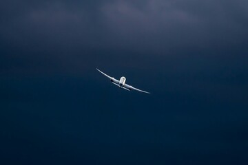plane in the sky