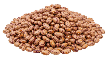 Isolated Pinto Beans