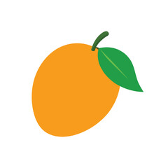  Mango illustration on a solid white background