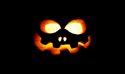 Real Jack O Lantern for halloween isolated on black background - studio shot