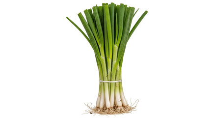 Isolated green onion