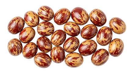 Isolated Jatropha Seeds Pile