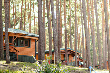 Wooden cabins nestled among tall pine trees in a serene forest setting, showcasing rustic...