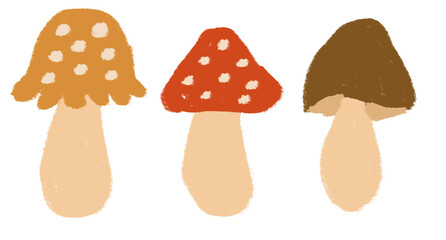 Hand-drawn, aesthetic, mushroom drawing, autumn, fall aesthetic design on transparent png background 