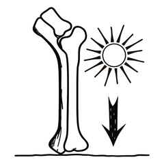 Bone with sun and downward arrow line art.