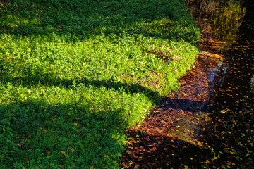 Small stream in Saint Affrique in the south of France.
River in the middle of greenery in spring...