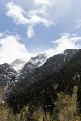 clouds over the mountains