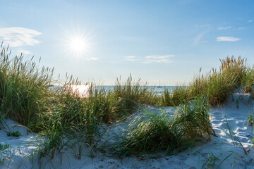 Die Sonne scheint hinter mit Gras bewachsenen Dünen an der Ostsee