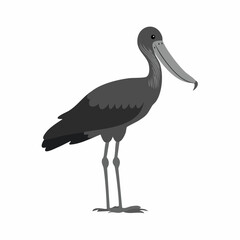 Shoebill Stork Standing. Black and white Shoebill Stork Standing image vector on white background.