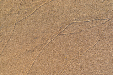 Feine Strukturen auf einem Sandstrand