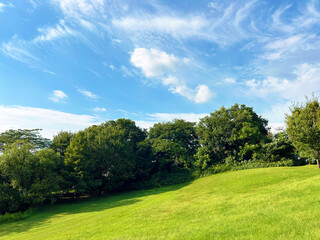 爽やかな空と芝生