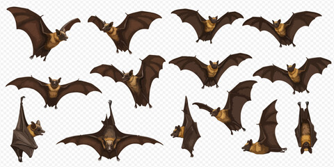 A collection of illustrated brown bats in various dynamic poses, including flying with wings spread, hanging upside down, and resting.