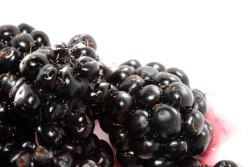 Close up of blackberries fruit on a white background