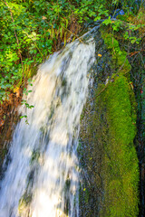 Small stream in Saint Affrique in the south of France.
River in the middle of greenery in spring with small waterfalls in Aveyron in Occitanie.

