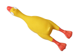 Funny yellow rubber toy duck