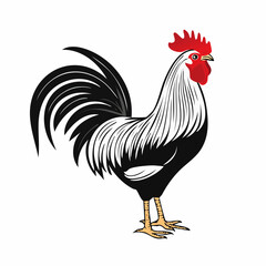 Black and white Rooster Standing Image Vector Illustration isolated on white background.
