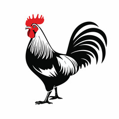 Black and white Rooster Standing Image Vector Illustration isolated on white background.