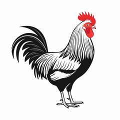 Rooster Standing Image Vector Illustration isolated on white background.