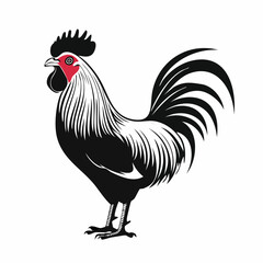 Rooster Standing Image Vector Illustration isolated on white background.