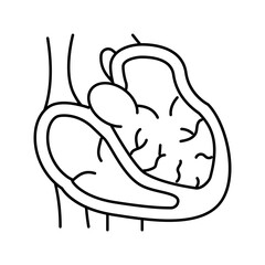 dilated cardiomyopathy cardiology disease line icon vector illustration