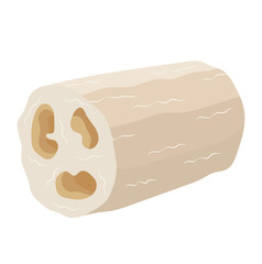 Natural Luffa Sponge Illustration Isolated on White Background