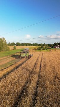 Harvester ingathering ripe wheat on the summer field vertical
