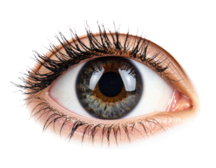 Close-up macro photograph of human eye with detailed iris, pupil, and long curved eyelashes showing natural beauty and vision.