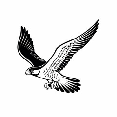 Falcon Flying Vector Image. Peregrine Falcon Bird Flying Vector Illustration.