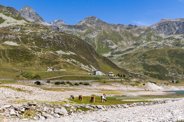 Mountain landscape in the Italian Alps and the Alpine village of Montespluga.
