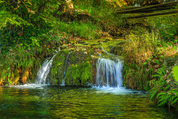 Obraz premium Small stream in Saint Affrique in the south of France. River in the middle of greenery in spring with small waterfalls in Aveyron in Occitanie. 