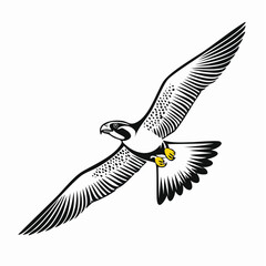 Obraz premium Falcon Flying Vector Image. Peregrine Falcon Bird Flying Vector Illustration.